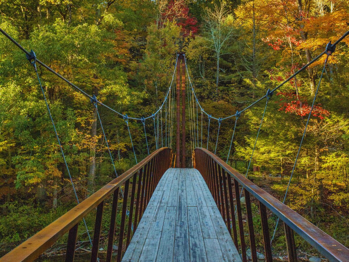 Henry David Thoreau Footbridge, Washington, CT